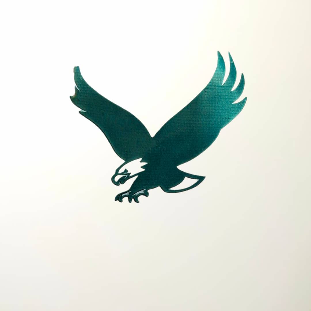 تولیدی ایمنی عقاب دوخت در تهران